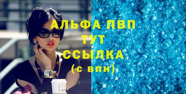 эйфоретик Вяземский