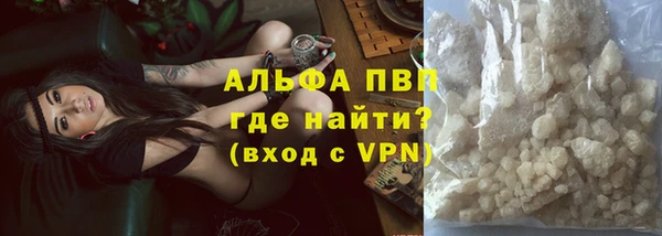 эйфоретик Вяземский