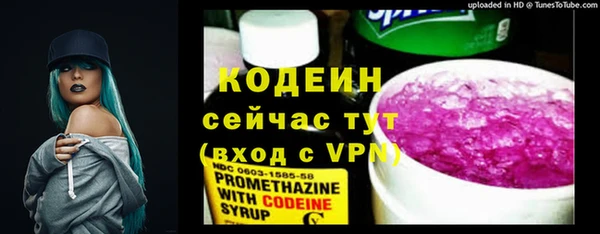 молекула духа Вязьма