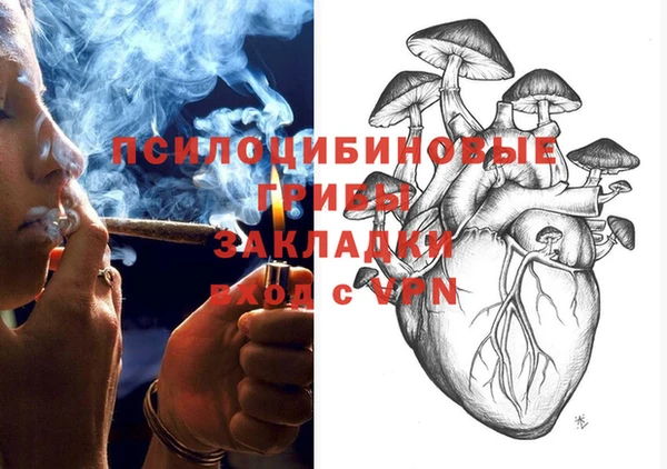 молекула духа Вязники
