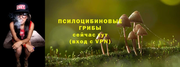 молекула духа Вязьма