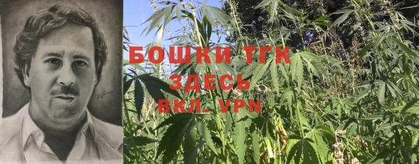 молекула духа Вязьма