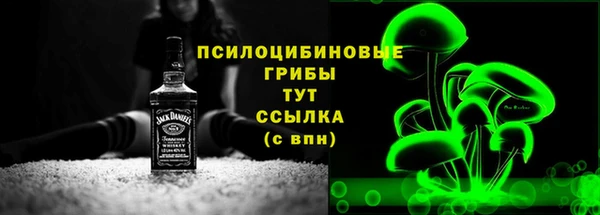 молекула духа Вязьма