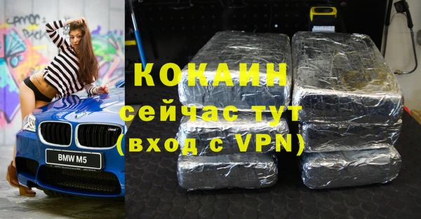 эйфоретик Вяземский