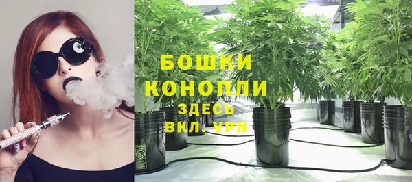молекула духа Вязники