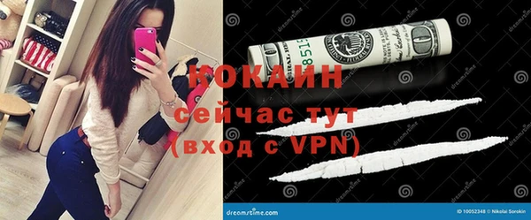 молекула духа Вязьма
