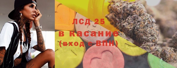 эйфоретик Вяземский