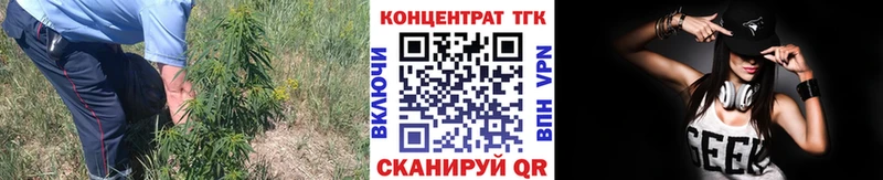 ТГК вейп Дигора