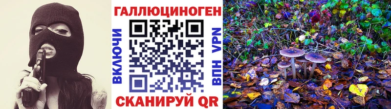 Псилоцибиновые грибы MAGIC MUSHROOMS  купить закладку  Дигора 